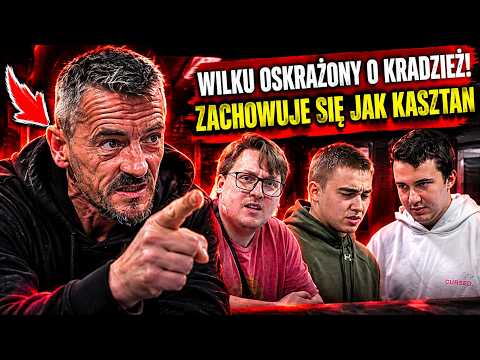 WILKU OSKARŻONY O ZŁODZIEJSTWO? ZACHOWUJE SIĘ JAK KASZTAN