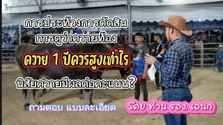 ควาย 1 ปี ควรสูงเท่าไร ควายท้องดูอย่างไร ตอบตรงประเด็น กับ ท่านรอง เอนก สมาคมพัฒนาพันธุ์ควายไทย