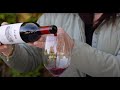 2019 Jordan Cabernet Sauvignon | California Cabernet New Release Wine Tasting