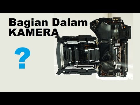 Video: Bagaimana Kamera Berfungsi