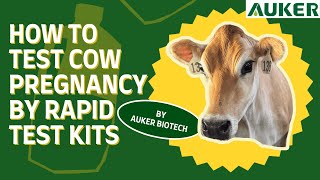 🎯 Fast, Easy & Accurate: Ruminant Early Pregnancy Test Kit 🐄🐐🐑