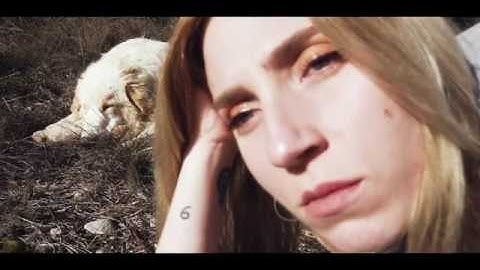 H Ø R N a film by Mantis Lab