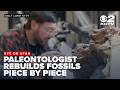 Utah paleontologist uncovers, rebuilds dinosaur fossils piece by piece
