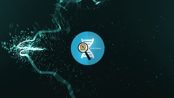 Lead Generation with Logo Video Intro.