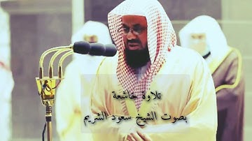 سورة الذاريات تلاوة خاشعة وجميلة بصوت الشيخ سعود الشريم #سعود_الشريم #quran #قرآن #ترند #تلاوات