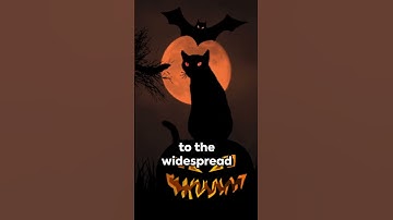 Black Cats: Unveiling the Spooky Facts & Superstitions #animalfactarchive #halloween2023