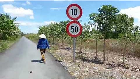 bán 5000m2 mặt tiền đường doi lầu xã an thới đông cần giờ