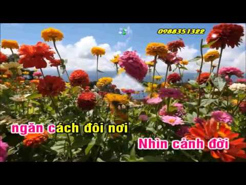 [Karaoke Nhạc Sống] Sau Lần Hẹn Cuối