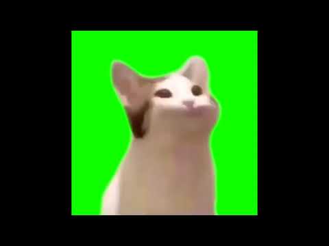 Cat Mouth Popping Noise Meme | Green Screen