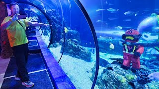 Go Inside SEA LIFE Aquarium at LEGOLAND California