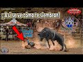 ¡¡Así se ve cómo te siembran!! estos toros mágicos de don Rosendo Parra en la yerbabuena de Tapalpa