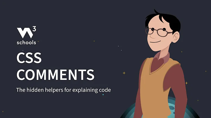 CSS - Comments - W3Schools.com