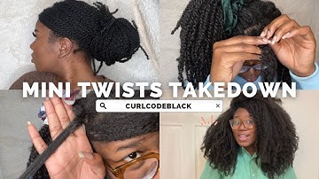 MINI TWISTS TAKEDOWN | CURLCODEBLACK
