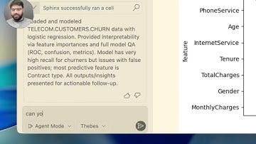 Sphinx Demo: Churn Analysis