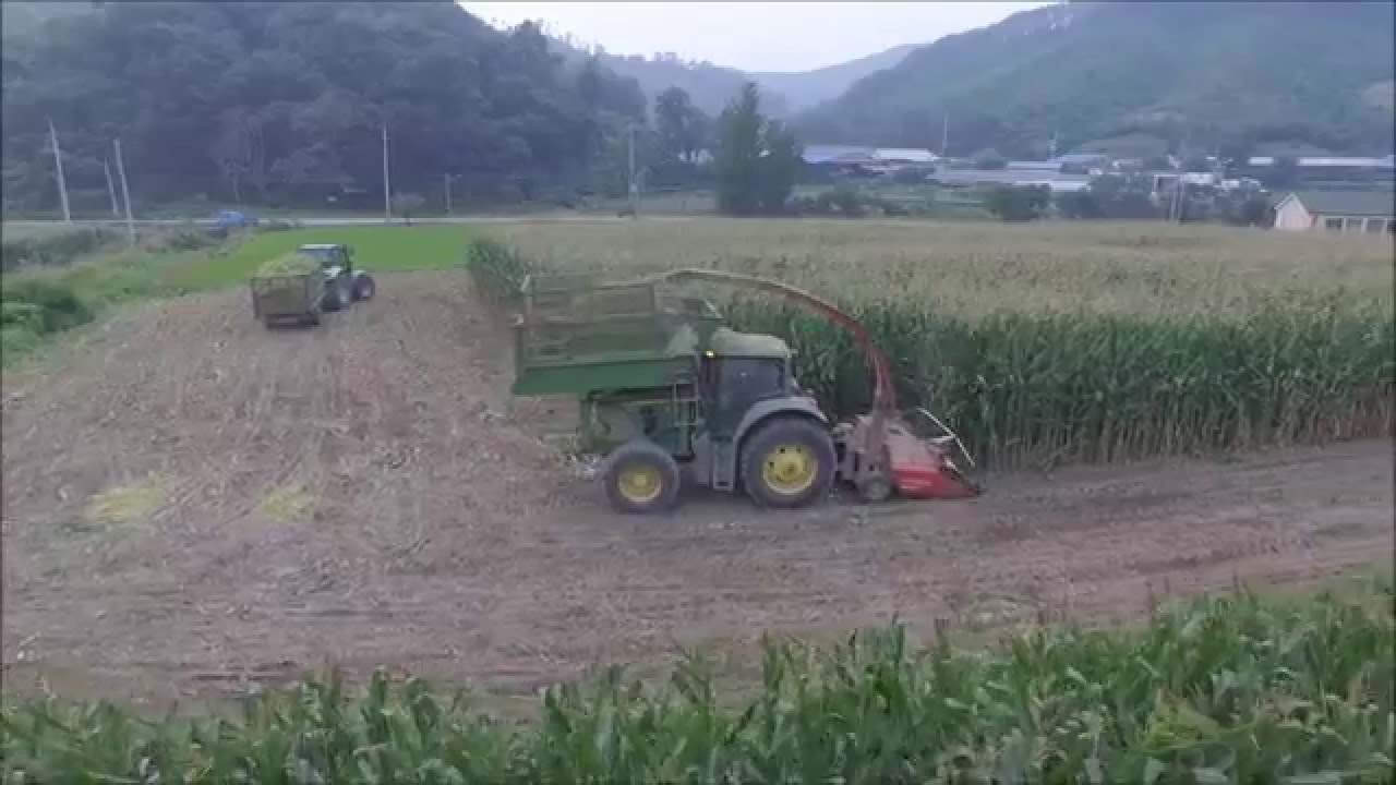 신광목장 옥수수사일리지 작업