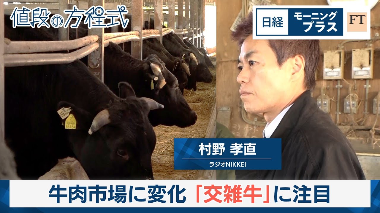 牛肉市場に変化　「交雑牛」に注目【日経モープラFT】