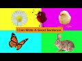Understanding Good Sentences