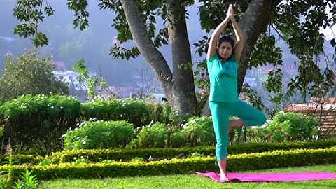 326/365 Vrksh Asan -Tree Pose tutorial-3 levels of foot position