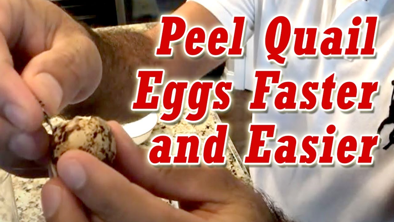 How to Peel Quail Eggs Faster and Easier Quail Egg Peeling Made Super