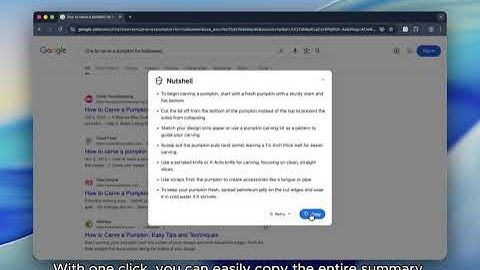 Nutshell Chrome Extension (Demo) for Google Chrome Built-in AI Challenge 2025