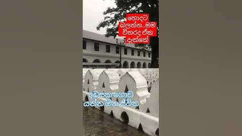 පව් දෙයියනේ| 😪දවසක ගොඩ යන්න ඕන ජීවිත| #Short #Sad #Feeling😥  හොදට බලන්න..මම විතරද ඒක දැක්කේ❓