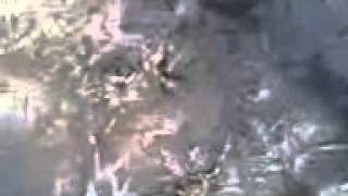 My Edited Video Cameras Fall From A Height & Waders Breaking Ice