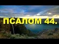 Псалтирь. ПСАЛОМ 44. [рус.]