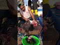 Small fresh tuna ready to be cut by this talented young man #fypシ゚viral #tuna_fish_cutting #fish