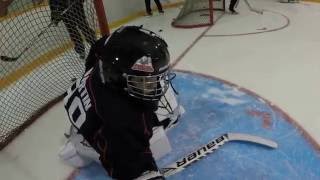 Goalie Training:  Glove Side RVH Stick and Glove Positioning
