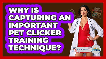 Why Is Capturing An Important Pet Clicker Training Technique? - Ask A Pet Vet