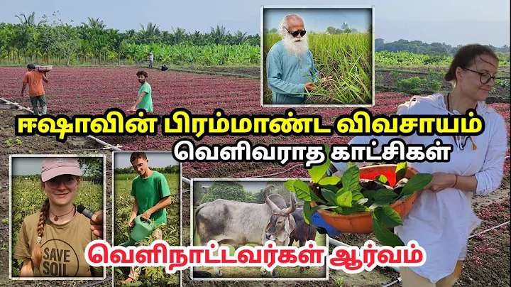 சத்குருவின் பிரம்மாண்ட மாட்டுப்பண்ணை, விவசாயம் Sadhguru's Biggest Farming , cowsheds