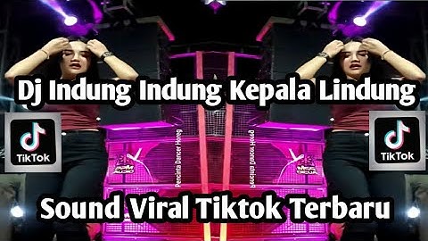 DJ INDUNG INDUNG KEPALA LINDUNG SOUND VIRAL YANG KALIAN CARI NIE