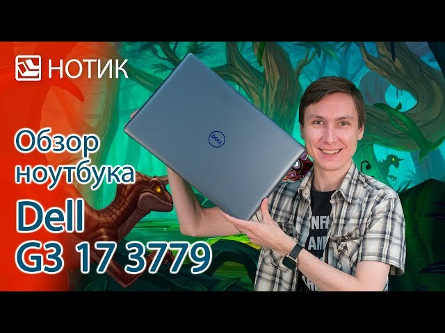 Ноутбуки Dell Цены И Характеристики