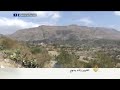 وفاء الحيوانات الجمل عجائب 