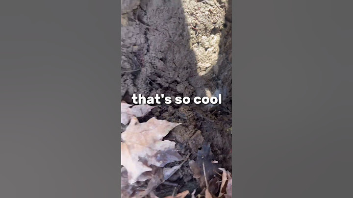 Flipping rocks to find…