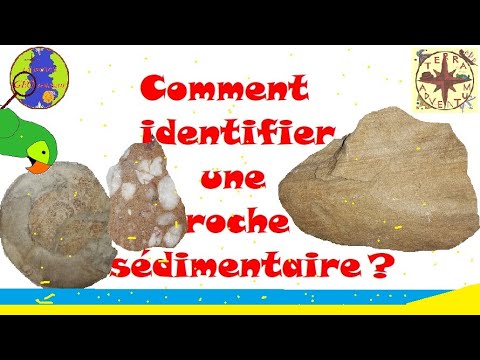 Vidéo: Que peuvent dire les différentes couches de roche sédimentaire aux géologues sur l'emplacement ?
