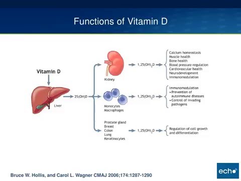 Vitamin D and HIV