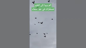 آلم يروا إلى الطير مسخرات في جو السماء مايمسكهن إلا الله إن في ذلك  لآيات لقوم يعقلون. النحل، 79