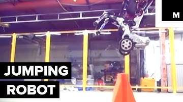 Boston Dynamics secret robot