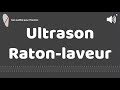 Ultrason contre pour raton laveur