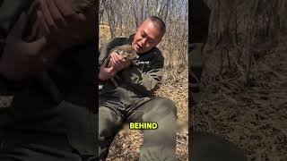 A Man Noticed a Small Piglet So Lovely and Cute 😍🥹❤️🥰 #pets #petshub #funny #cute #love #respect