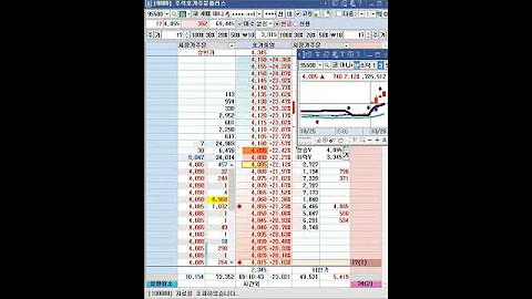 마니커에프앤지 VI 스켈핑