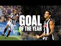 Leon davis 2008 goal of the year 