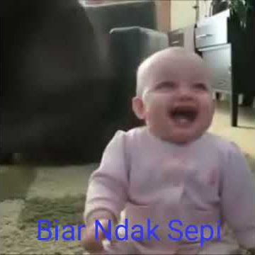 story wa lucu sampai bikin perut sakit