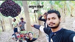 #masti time || जामुन तोड़ते हुए || जंगल में मंगल || #vlog || #blackberry