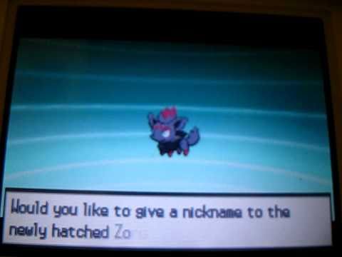 Pokemon Black and White:How to get ZORUA  WITHOUT CELEBI AND WITHOUT CHEATS! (ZORUA EGG)