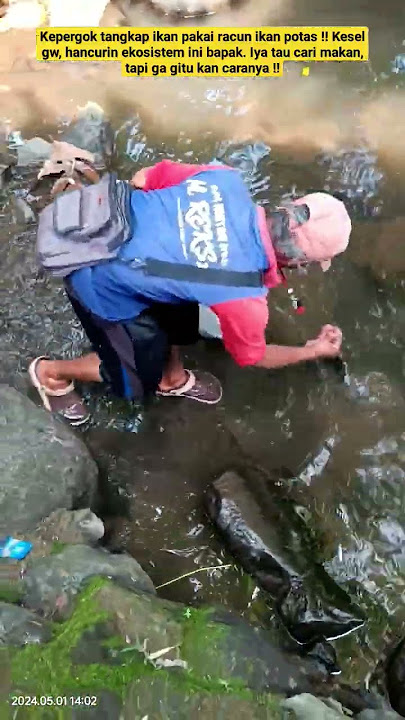 bapak ini kepergok tangkap ikan pakai racun ikan potas !! bahaya bisa merusak ekosistem !!
