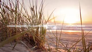 Makaram Sarı Bağlar / Enstrümantal (Bağlama) - (Bağlama Şahı) Resimi