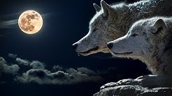 The Wolves Skoll and Hati: Myths of the Norsemen 6