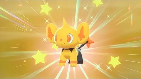 SUPER FAST SHINY SHINX!